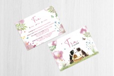 border collie bij mandje